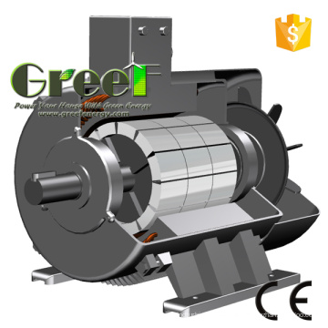 Der beste Permanent Magnet Generator Hersteller in China